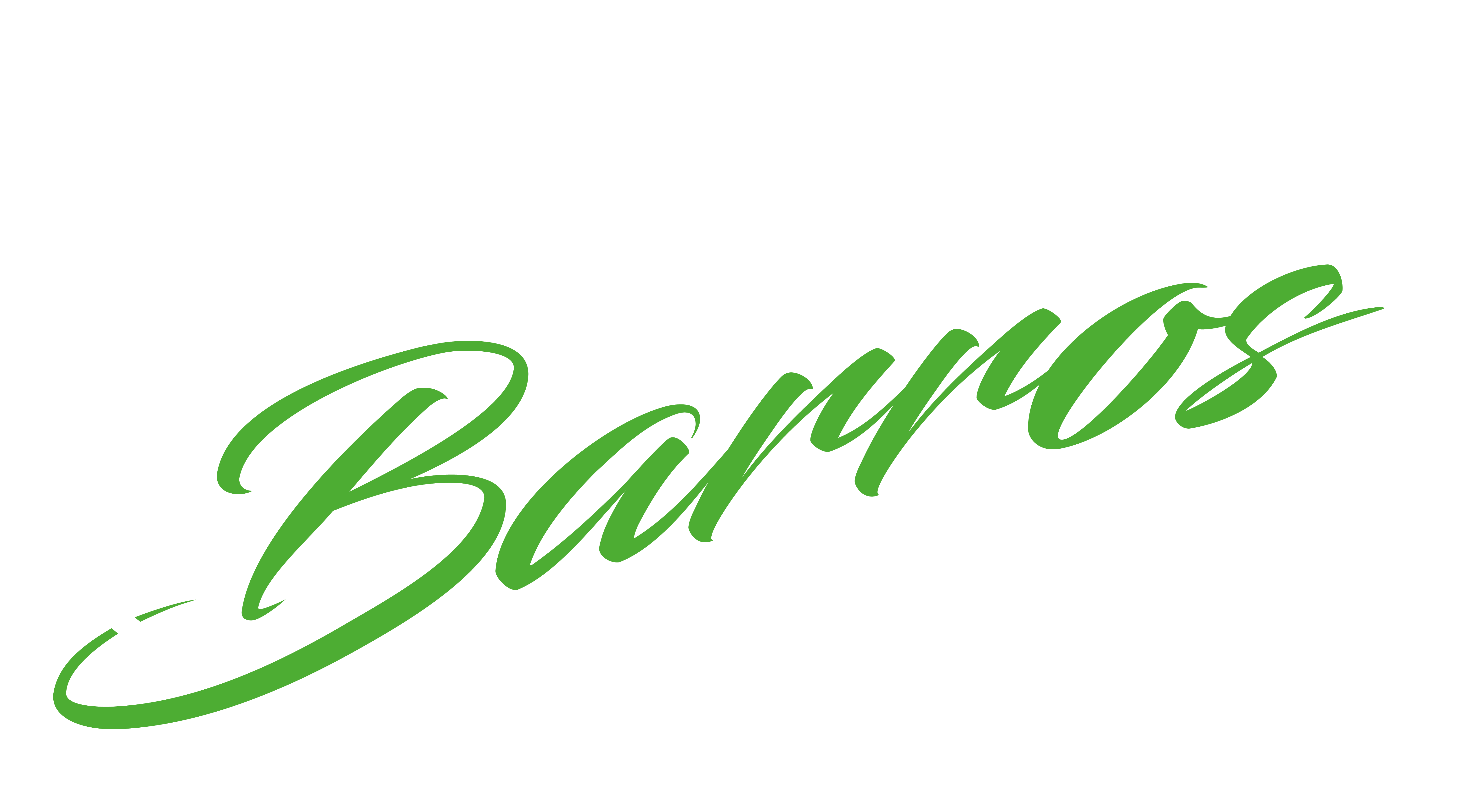 Barros Bike